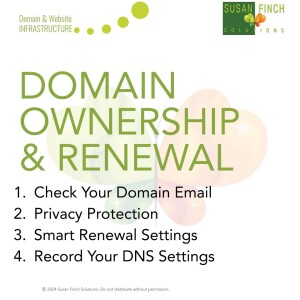 Domain Ownership and Renewal Tips - Part 1