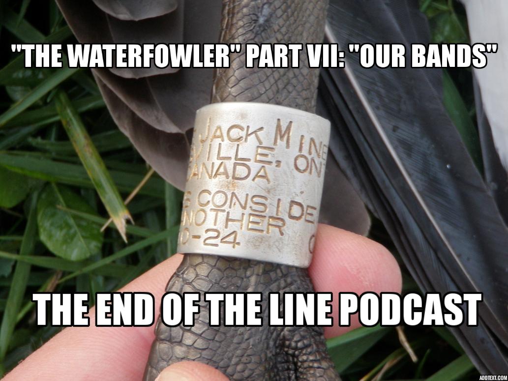 "The Waterfowler" Part VII: "Our Bands"