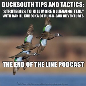 Ducksouth Tips and Tactics Podcast: Strategies to Kill More Bluewing Teal