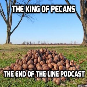 The King Of Pecans