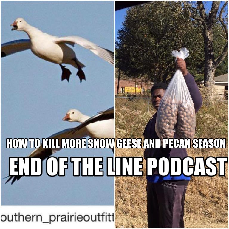 Tips for Killing Snow Geese With Jed Lamb and Pecan Season is in Full Rut