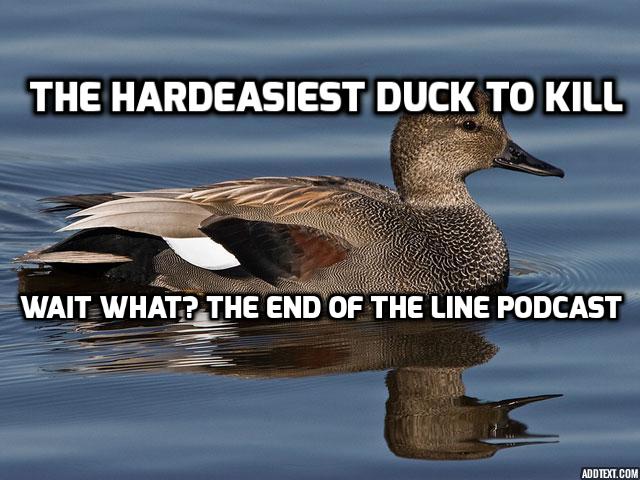 How to Kill More Gadwall in The Timber