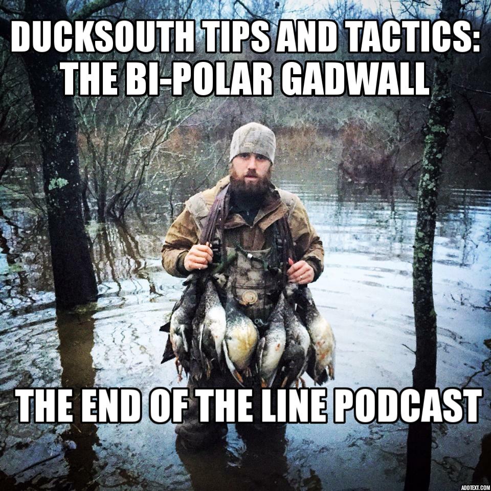 Ducksouth Tips and Tactics: The Bi-Polar Gadwall
