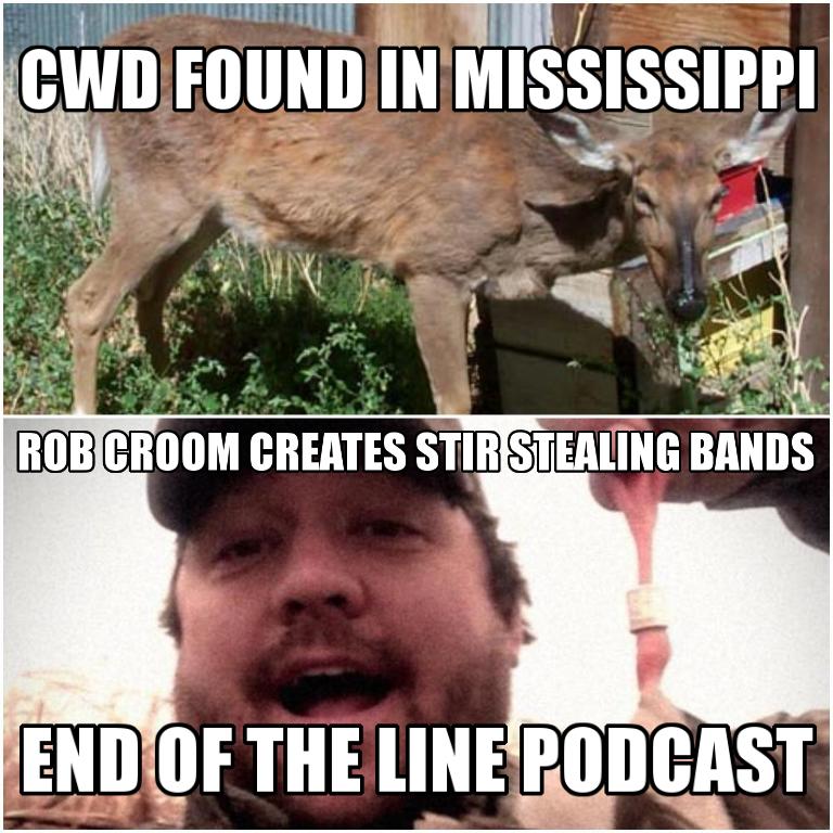 CWD Hits Mississippi and Rob Croom Admits to and Explains Why He is Taking Clients Duck Bands