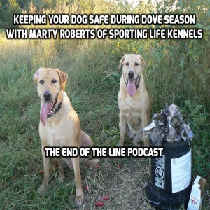Keeping Your Retriever Safe During Dove Season With Marty Roberts of Sporting Life Kennels