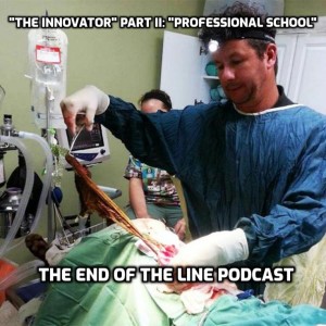 ”The Innovator” Part II: ”Professional School”