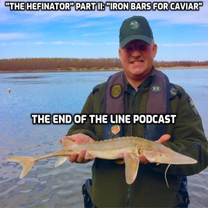 "The Hefinator" Part II: "Iron Bars for Caviar"