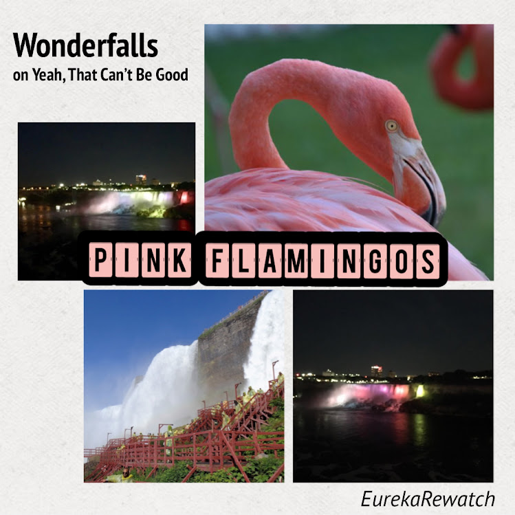 WF-S1E4 Pink Flamingos