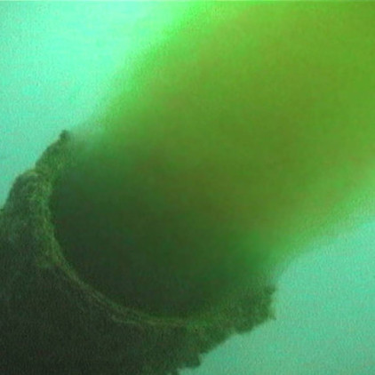 Ocean swimming... in poo