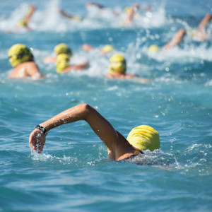 Ocean swimming... training