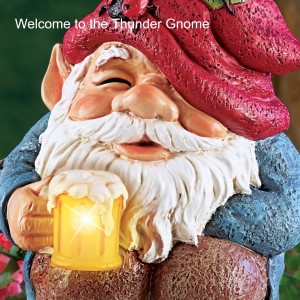 Welcome to the Thunder Gnome
