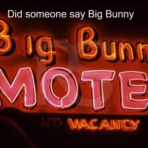 Did someone say Big Bunny