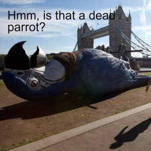Hmm, is that a dead parrot?