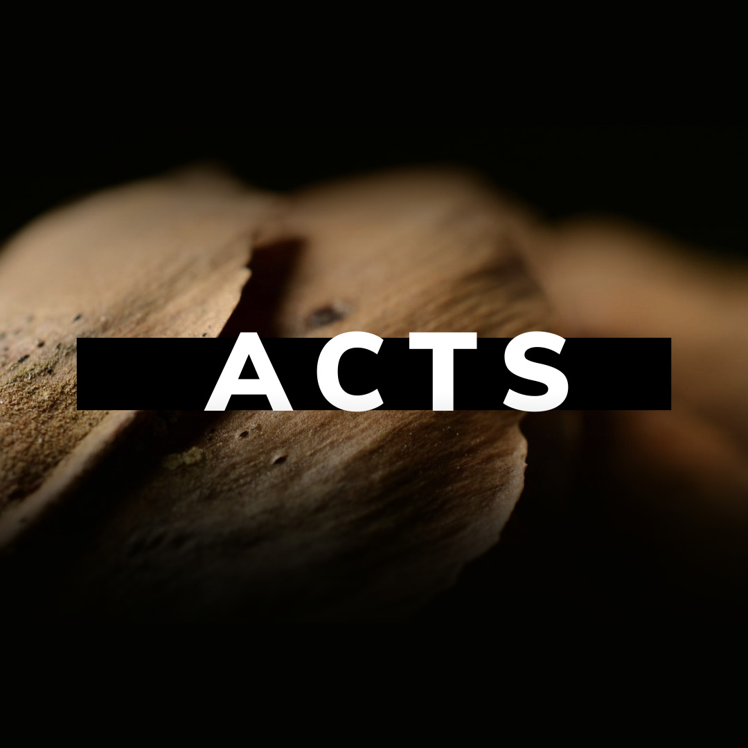 A Study on the Book of Acts - Part XXVII