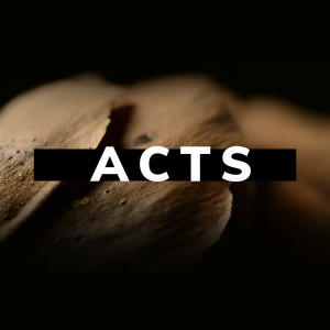 A Study on the Book of Acts - Part V