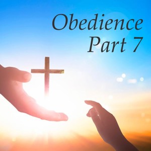 Obedience - Part 7”