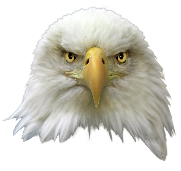 SOCRS105- “Freedom Matters 03- What Does FREEDOM Mean To You?”