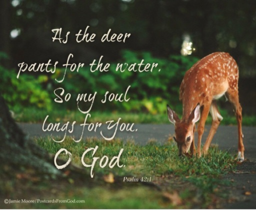 Psalm 42~ “The Struggle gets Real”