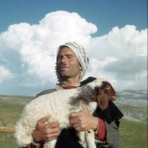 Unromantic Shepherding (4th Sunday of Easter, 4.30.23)
