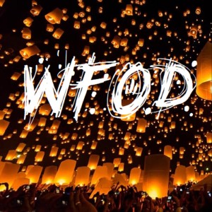 WFOD: THE BITS THAT REALLY WORKED VOLUME 1