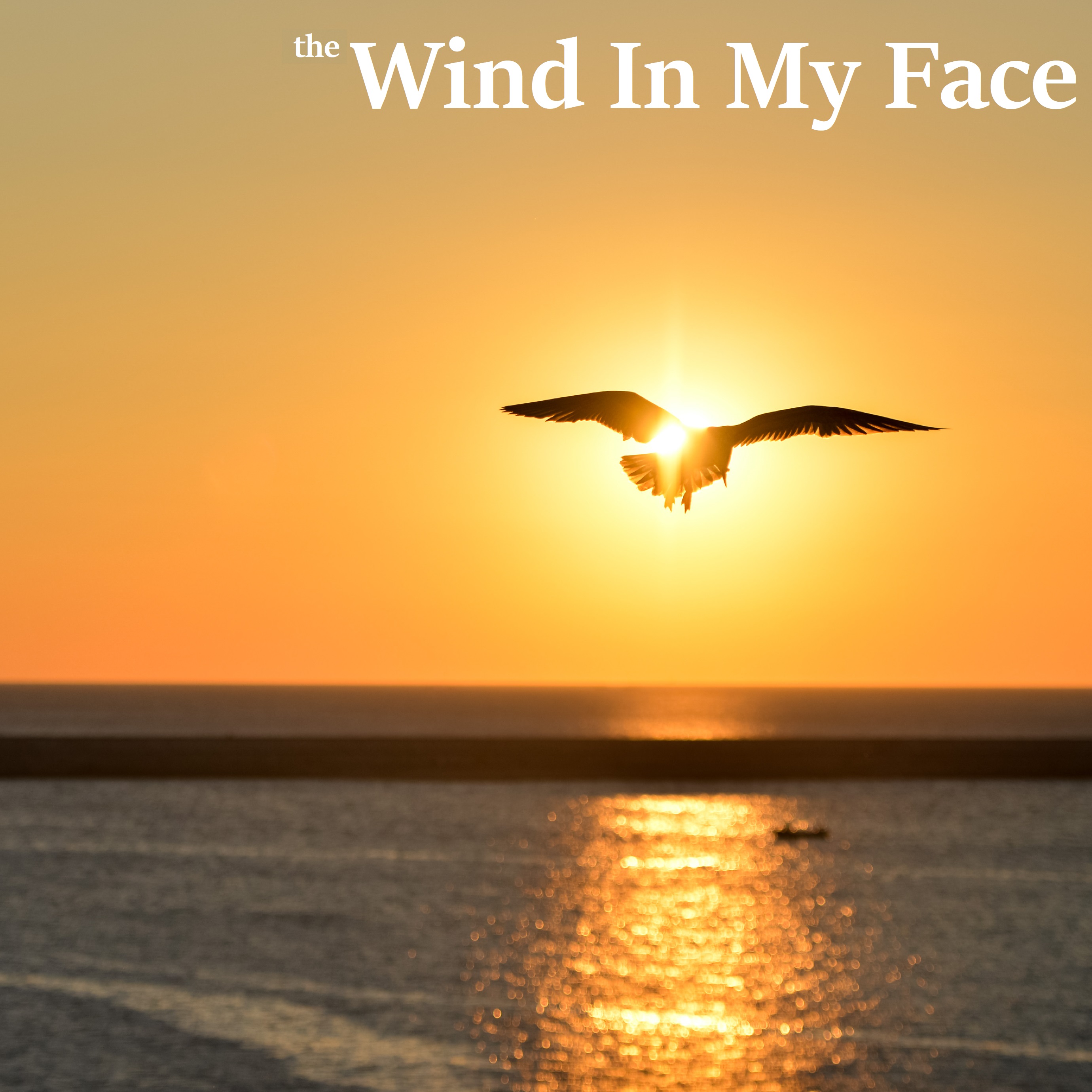 THE WIND IN MY FACE