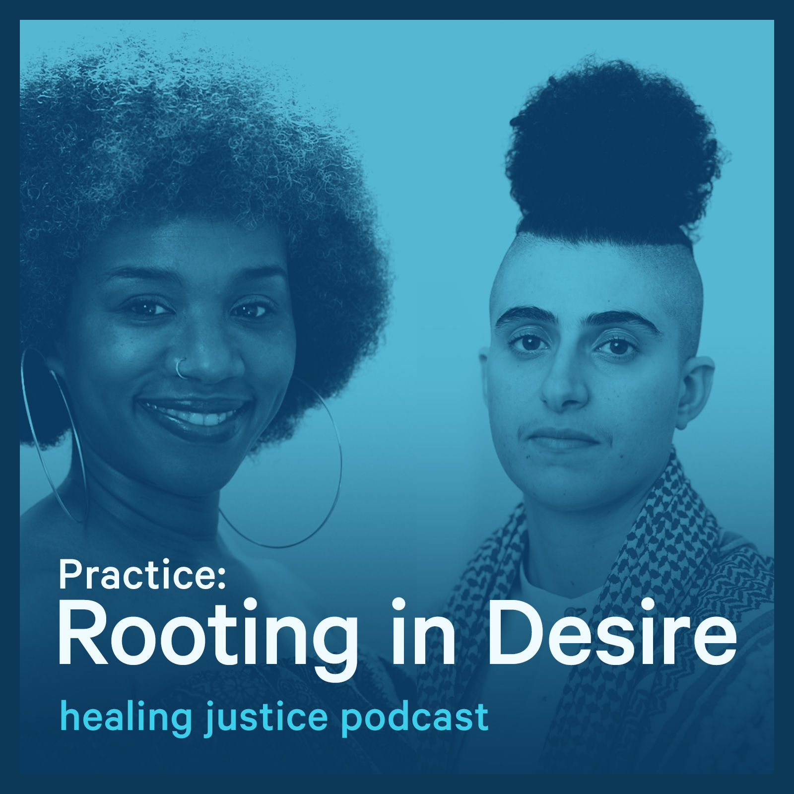 cover of episode 41 Practice: Rooting in Desire with Samia Abou-Samra & Ije Ude of Turtle Tank