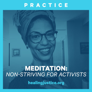05 Practice: Meditation on Non-Striving for Activists with Katie Loncke