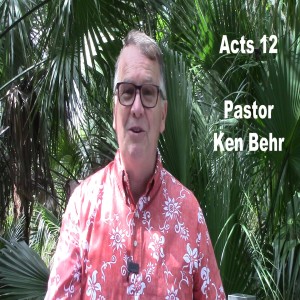 Acts 12:1-19 Peter in Prison