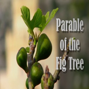 Matthew 24:32-35 Parable of the Fig Tree