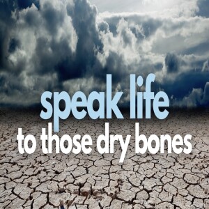 Speak Life to those Dry Bones.