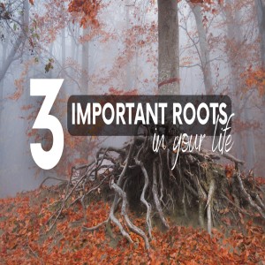 3 Important Roots in your Life