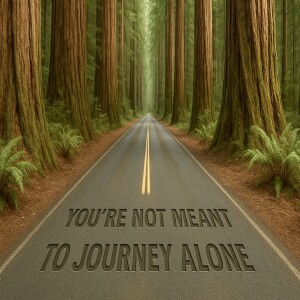 You're Not Meant to Journey Alone