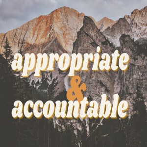 Appropriate and Accountable