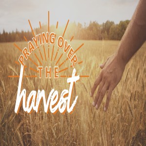 Praying Over The Harvest