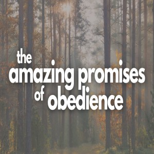 The Amazing Promises of Obedience
