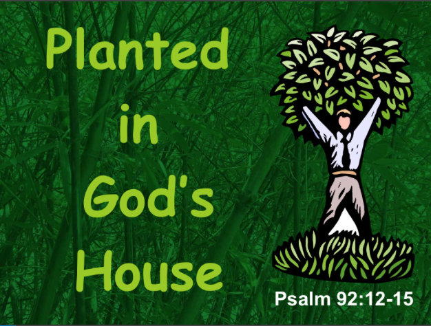 Planted in Gods House