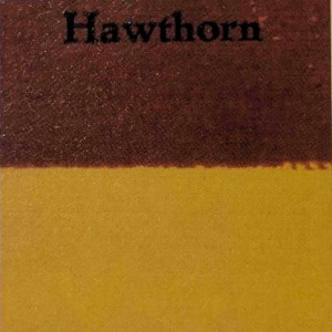 Episode 33 - Hawthorn Football Club