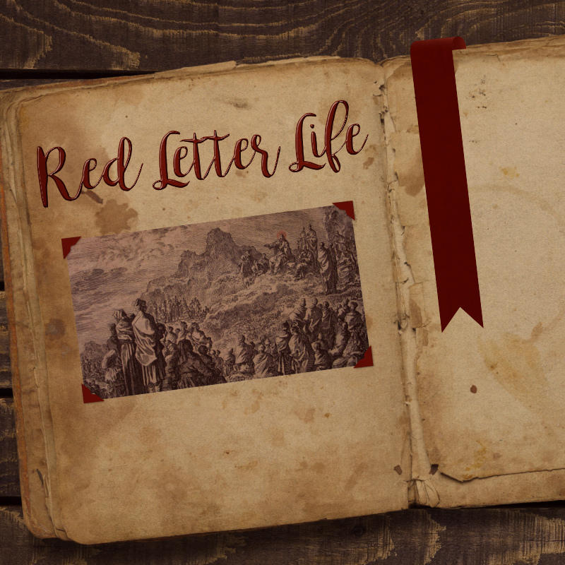 Red Letter Life: Salt & Light