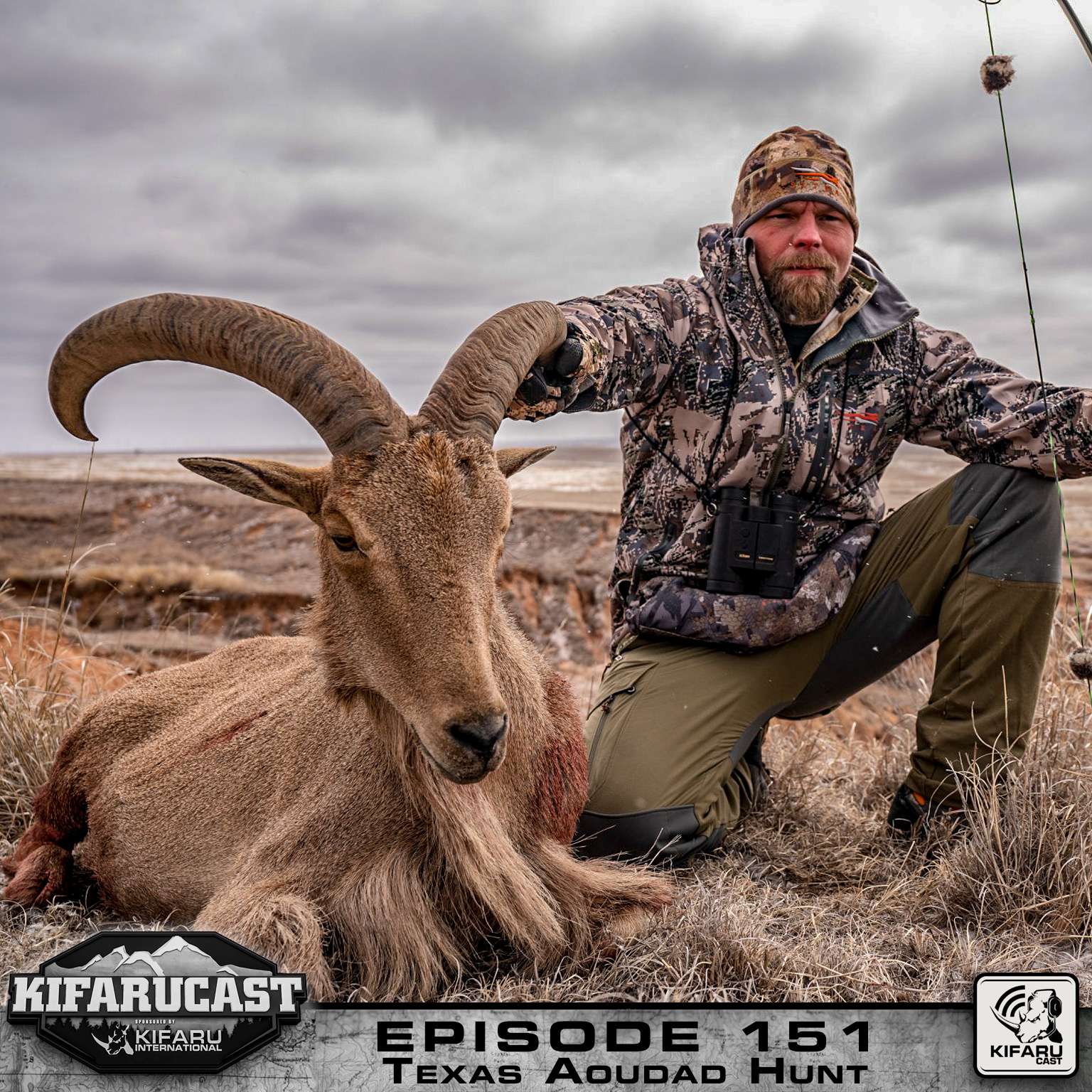 Texas Aoudad Hunt