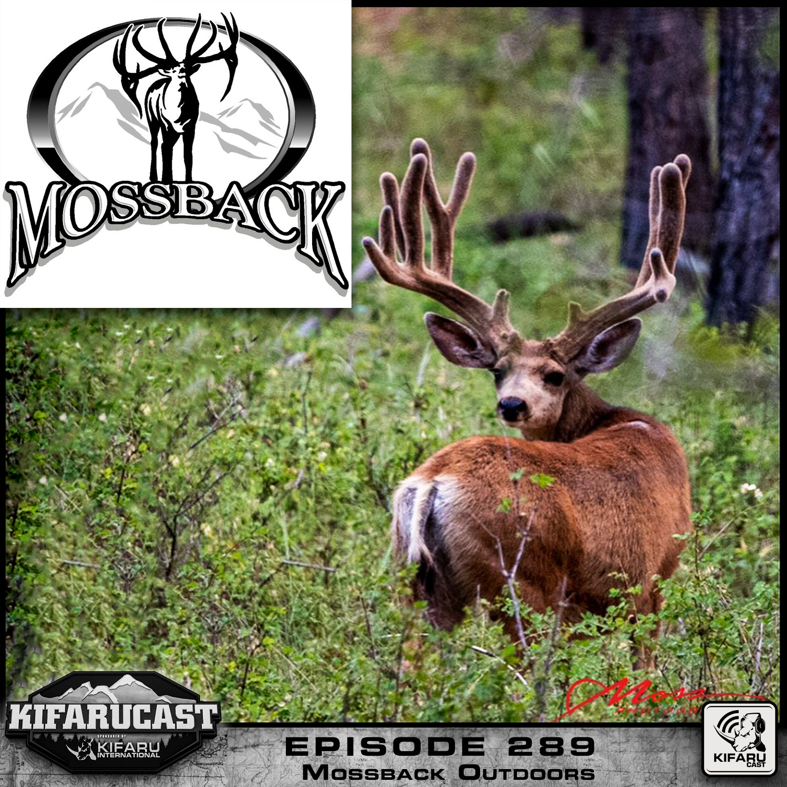 Mossback Outdoors