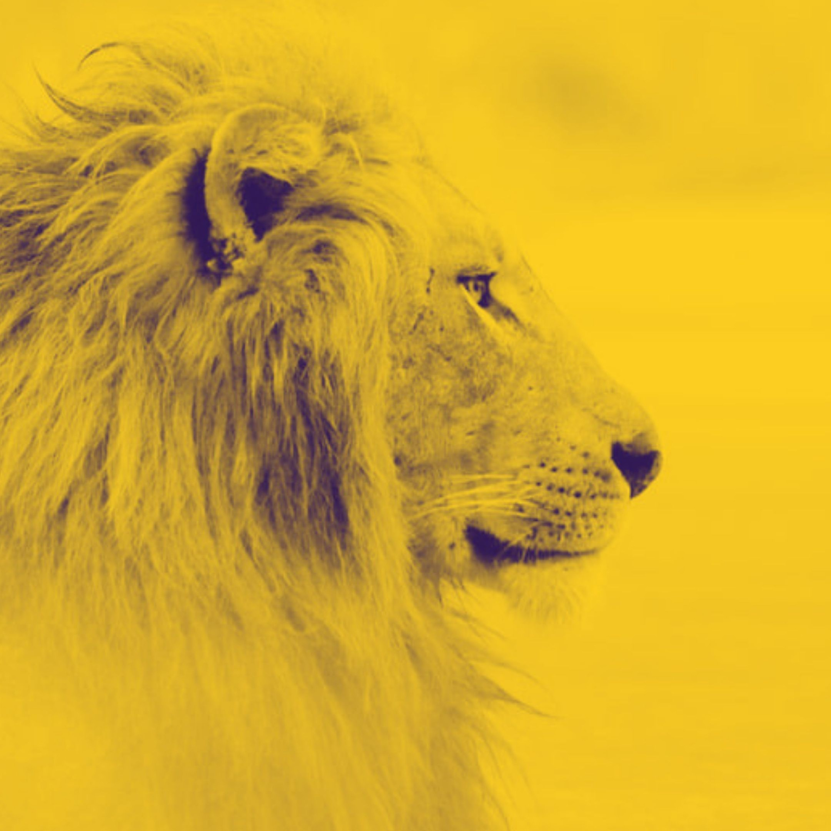 Be Fierce to Have Dominion — Page One Series, Part 2 (Ep 179)