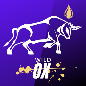 Wild Ox Podcast Feature: How the God Ethic Potentializes Prayer (Ep 174)