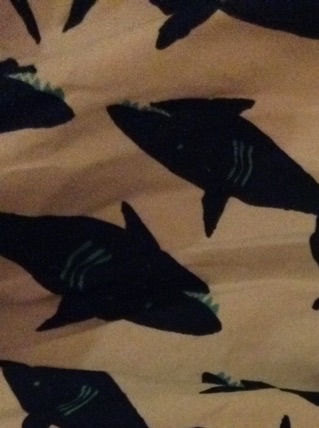 Ep: 1 SHARK SHEETS