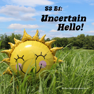 S3 E1: Uncertain Hello!