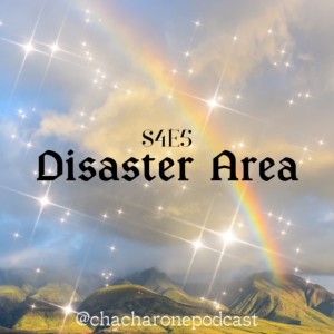S4 E5: Disaster Area