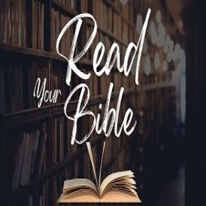 (Message) Read Your Bible