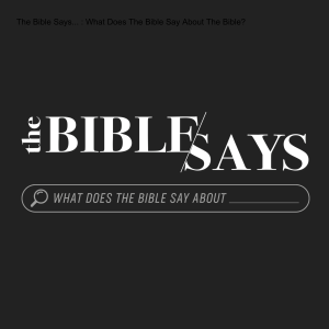 The Bible Says... : What Does The Bible Say About The Bible?