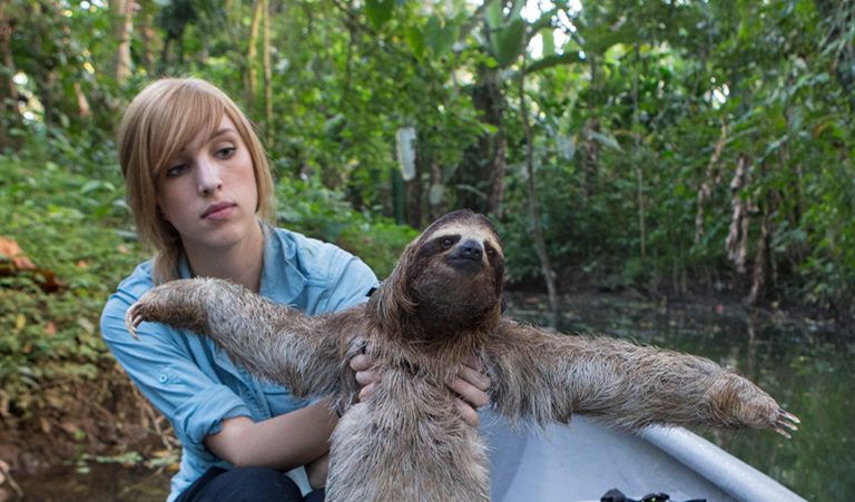 Episode 190: Sloth Conservation Foundation's Dr Rebecca Cliffe