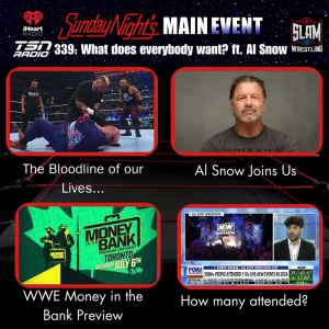 SNME 339 - What does everybody want? ft. Al Snow