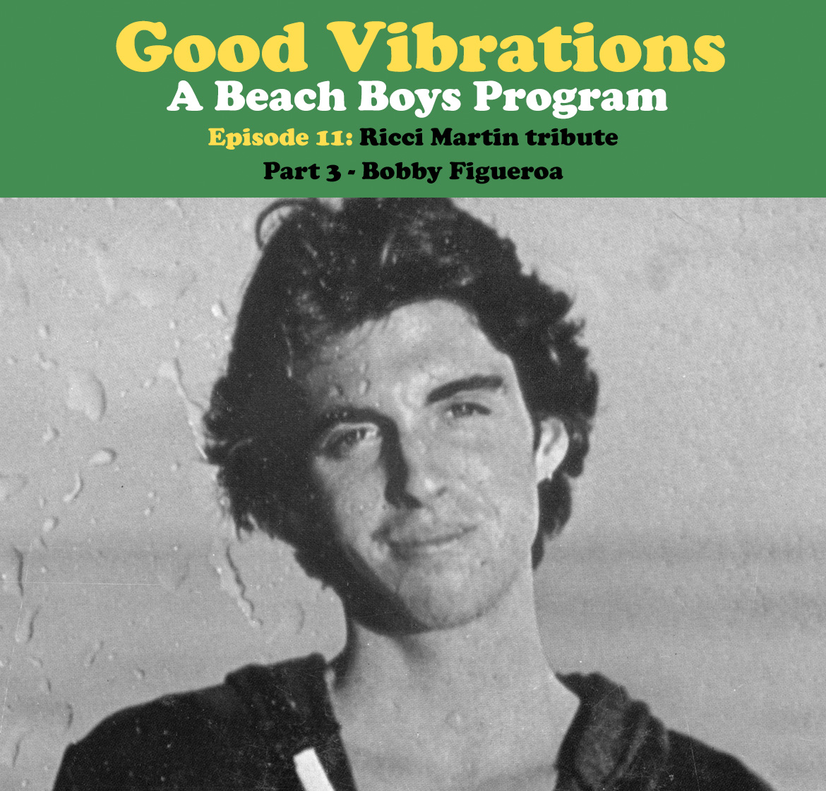 Good Vibrations: A Beach Boys Program